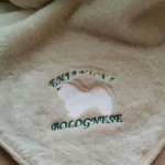 Dog show benching mats