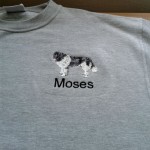 Embroidered sweatshirt