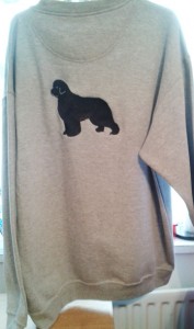 Embroidered sweatshirt