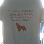 Embroidered sweatshirt