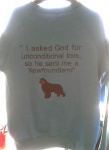 Embroidered sweatshirt