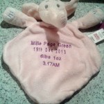 Embroidered teddy snuggler