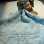 Embroidered teddy snuggler