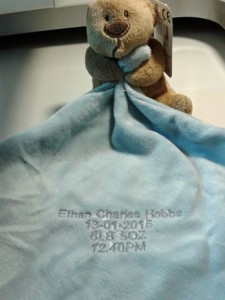 Embroidered teddy snuggler