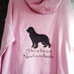 Embroidered zipped hoodie