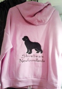 Embroidered zipped hoodie