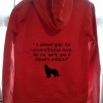 Embroidered zipped hoodie