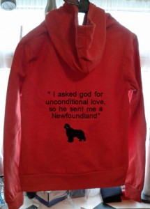 Embroidered zipped hoodie