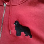 Embroidered zipped hoodie