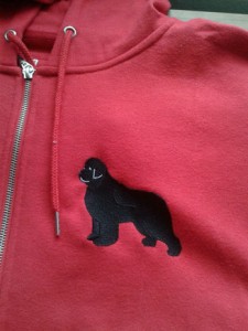 Embroidered zipped hoodie