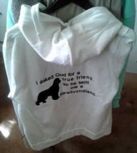 Embroidered zipped hoodie